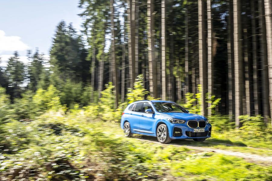  BMW X1 xDrive25i M Sport (F48) 2019 года  (WW) (фото 37 из 112)